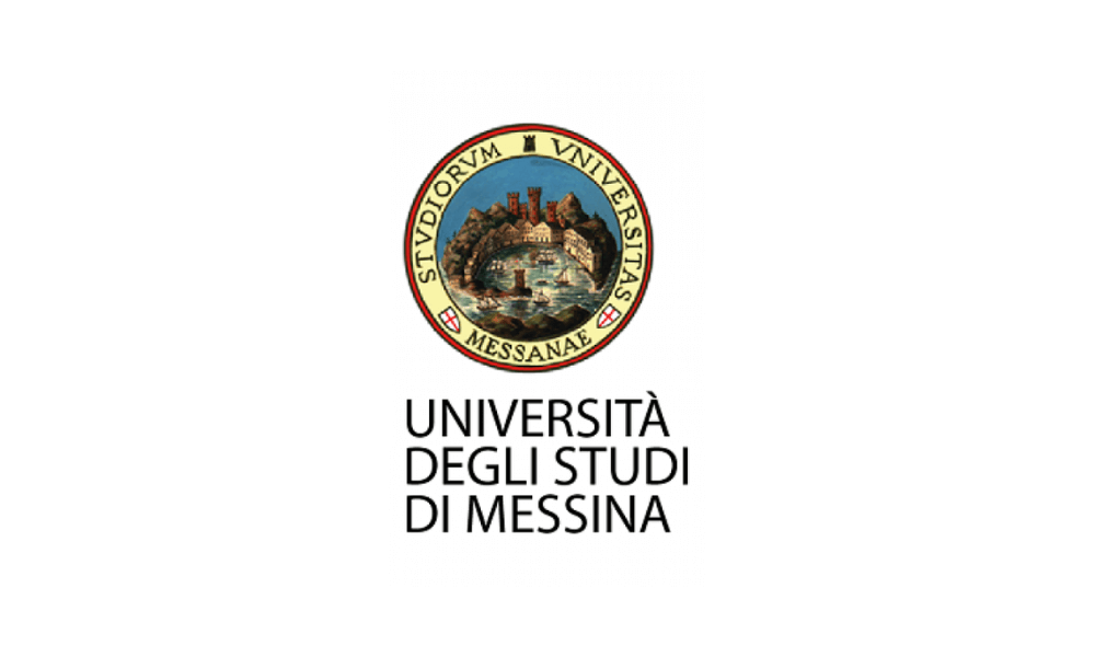 International academic partner 8